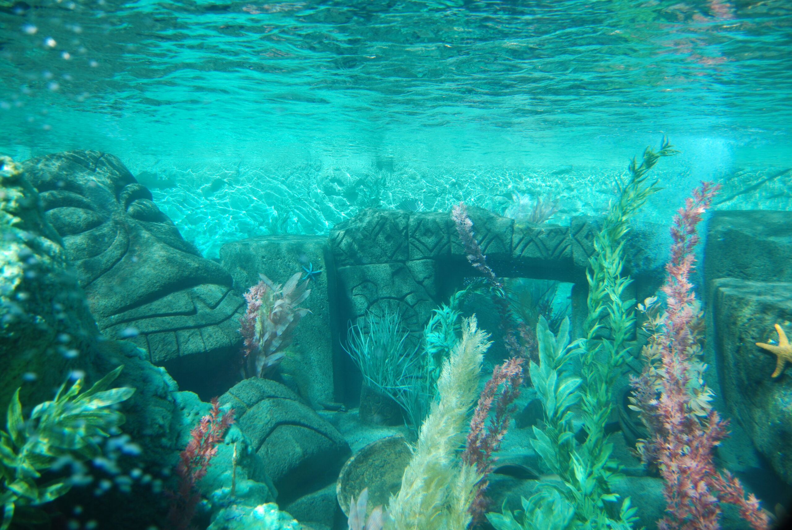 Submarine Voyage Submerged 2008