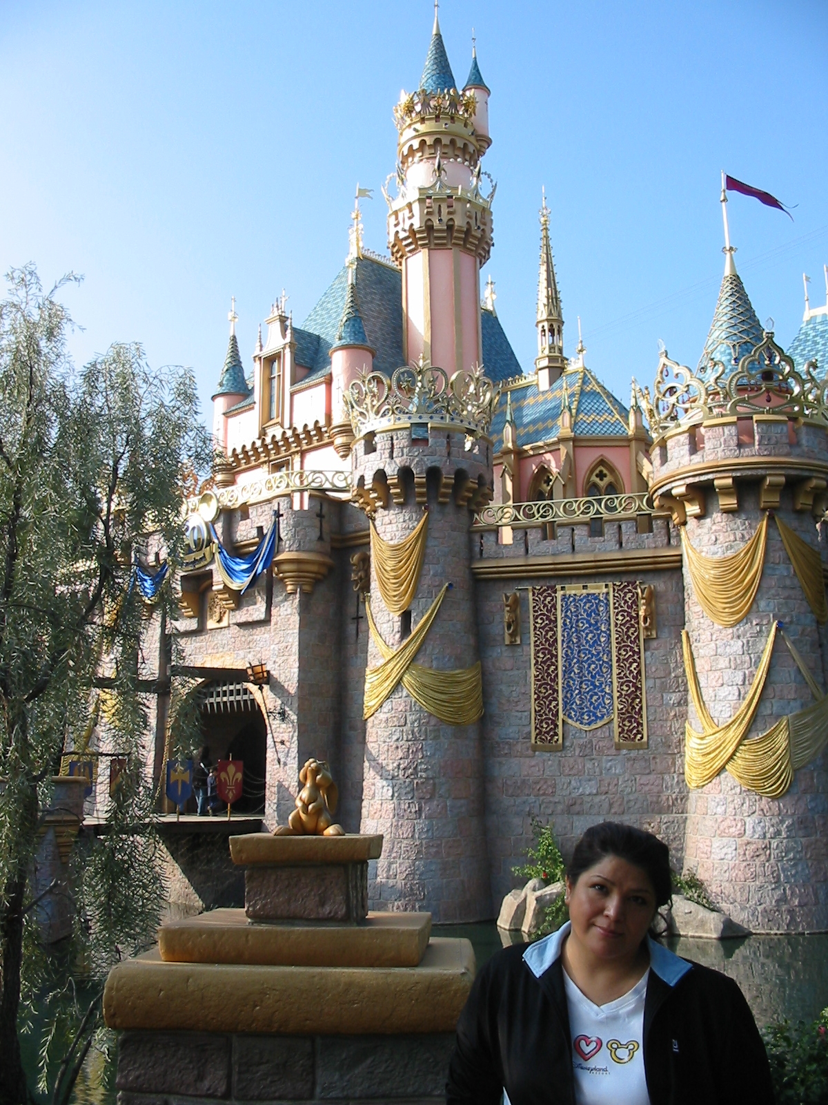 Sleeping Beauty Castle 2005