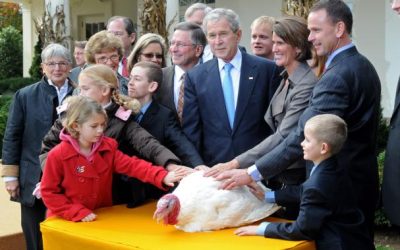 National Thanksgiving Turkey Heading To Disneyland