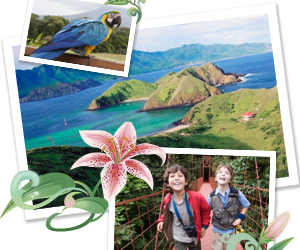 The Great Green Challenge – Win Trip To Costa Rica