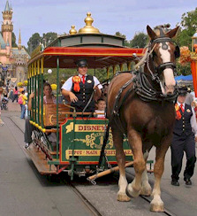 Disneyland Horses