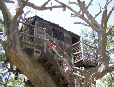 Tree House on Tom Sawyer Island